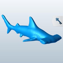 hammerhead shark v2 tête de marteau le requin du poisson aquatiques vie imprimable lowpoly les poissons la aquatique 3d print model - Mito3D