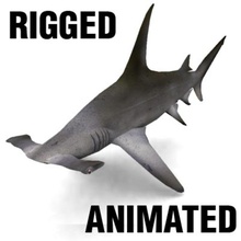 çekiç kafalı köpekbalığı 3d hayvan su balık gıda harika hammerhead baş ilham verdi model modelsaler okyanus predator makara rod deniz 3d print model - Mito3D