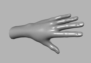 mano 3d l'anatomia corpo carattere dito fishzombie ragazzi umana umanoide maschio mammifero uomo maya modello unghia obj persone poligono 3d print model - Mito3D