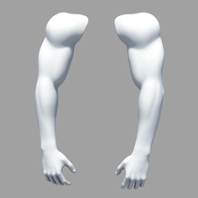 la main 3dessence l'anatomie le bras corps caractère les extrémités doigt gars de l'homme membres sexe masculin modèle des ongles paume personnes photoréalistes réaliste 3d print model - Mito3D