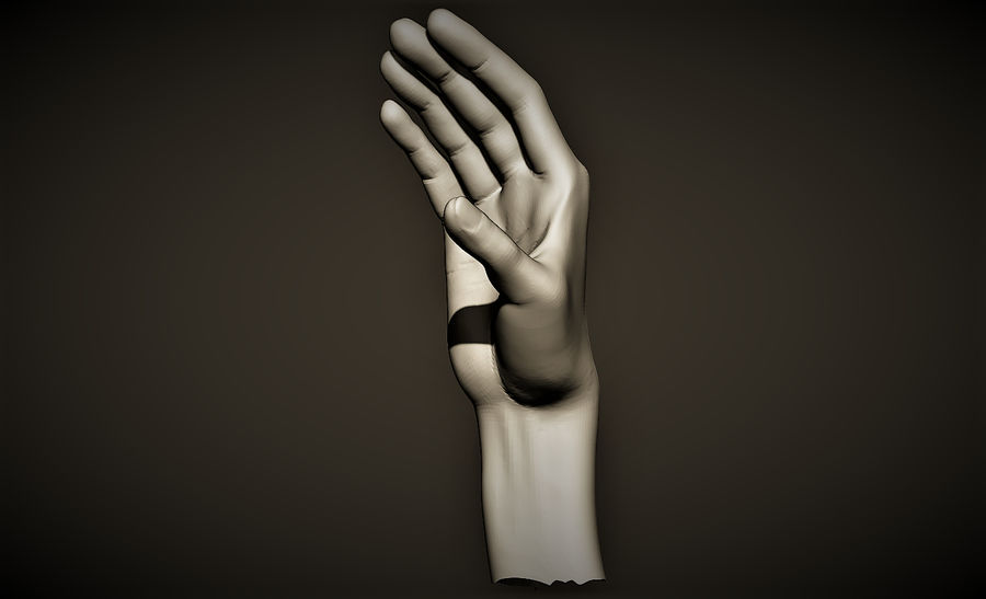 mão 2 ali kat anatomia animais o corpo personagem extremidades dedo punho humanos junta modelo oferecido abrir palm de primatas 3D print model - Mito3D