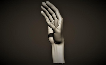 mão 2 ali kat anatomia animais o corpo personagem extremidades dedo punho humanos junta modelo oferecido abrir palm de primatas 3d print model - Mito3D