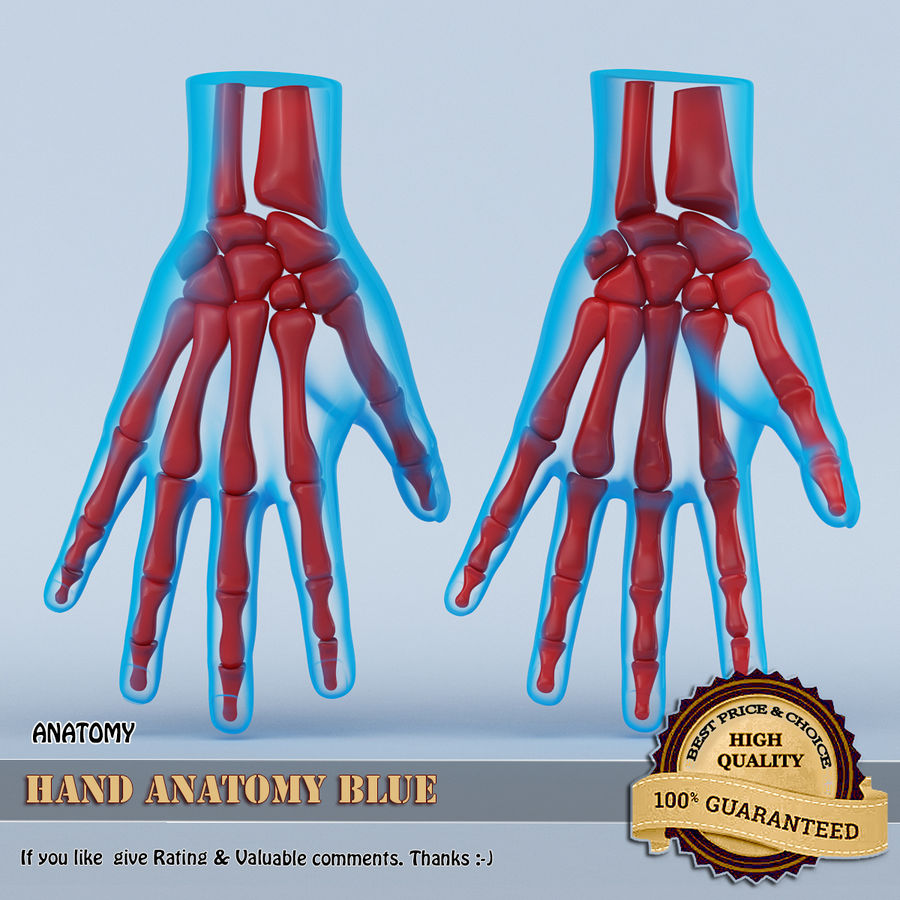 mano anatomia blu l'anatomia corpo l'osso carattere finge umana medico modello organico fisiologia realistici sahasrad scienza scheletro il pollice toe polso 3D print model - Mito3D