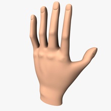 hand base uv unwrapped anatomy arm body character extremities finger human limbs main model nail saulstudioza 3d print model - Mito3D
