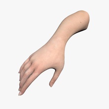 hand female anatomy arm body character extremities fatgod88 finger human limbs model 3d print model - Mito3D