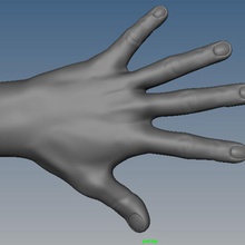 guante de la mano anatomía carácter chimera24 guantes chicos humanos masculino hombre modelo fuerte 3d print model - Mito3D