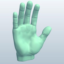 hand v1 anatomy printable lowpoly 3d print model - Mito3D