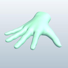 hand v3 open palm anatomy printable lowpoly 3d print model - Mito3D