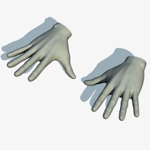 manos 3d la anatomía brazo arvindnb cuerpo carácter limpio las extremidades dedo mano humanos hombre max maya de malla modelo uñas obj palma realista 3d print model - Mito3D