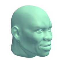 happy facial expression v2 people printable lowpoly 3d print model - Mito3D