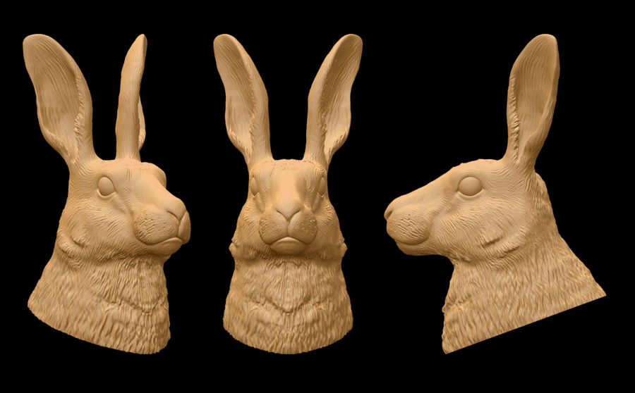 hare head 3d alexandr animal architecture bunny bust easter elements farm mammal model pavljuk printable prints rabbits realistic rodent sculpt sculpture statue stl ztl 3D print model - Mito3D