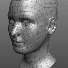cabeça basemesh anatomia o corpo personagem rosto feminino garota a humanos senhora modelo obj pessoas poligonal topologia ujk mulher 3d print model - Mito3D