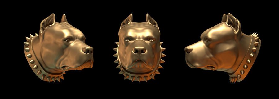head pit bull 3d alexandr american animal architecture bust canine dog figurine freedom life mammal model pavljuk pets pitbull pitted prey prints puppy ready sculpture statue structure symbol terrier wild 3D print model - Mito3D