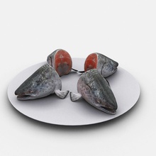 head salmon animal fish food model zenvn 3d print model - Mito3D
