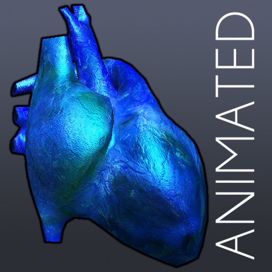 kalp altı dokular hareketli anatomi animasyonlu aorta atrium kan vücut kardiyovasküler karakter dolaşım döngüsü sağlık insan tıbbi model Kas pulmoner pompa bilim sistem doku unjosnav ventrikül 3D print model - Mito3D