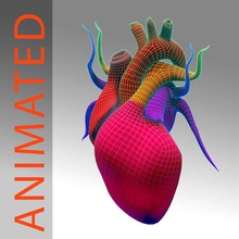 corazón de bajo alta poli la anatomía animada animación blod cuerpo cardíacas carácter circulatorio ciclo humanos inferior médica medicina malla modelo polígono pulmonar ciencia sistema unjosnav 3d print model - Mito3D