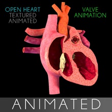 le cœur de la section animation l'intérieur l'anatomie animées l'aorte les artères atrium corps cardio-vasculaires chambre caractère l'appareil circulatoire l'homme médicaux mitrale modèle ouvert science système tricuspide unjosnav valve 3d print model - Mito3D
