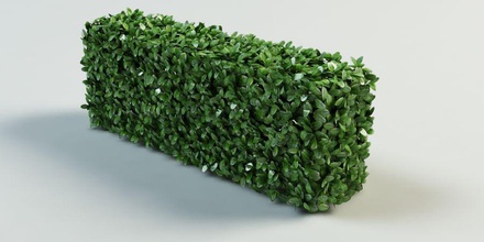 çit budama bush mimarlık çalılar tasarım dış çiçek form bahçe çim yeşil hedges manzara lanfir111 yaprak model otopark bitki kalite küçük ağaç 3d print model - Mito3D