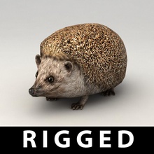hedgehog animal biped bone forest fur kvakling lower lowpoly mammal model needles poly rig 3d print model - Mito3D