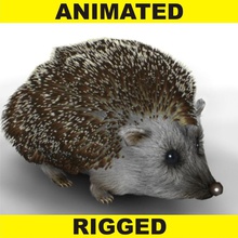 Igel mit Fell Tier animation detail Haar hoch säugetier Modell realistisch sind rig vizartonline 3d print model - Mito3D