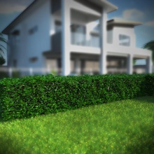 hedge bark cover flower foliage garden greenery ground hedges leaf luke rc model plant small tree 3d print model - Mito3D