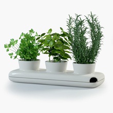 herbs sagaform pot accesories basil collection food freakaz herb interior model parsley plan plant rosemary small spice 3d print model - Mito3D