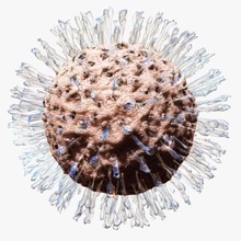 il virus dell'herpes l'anatomia i batteri biologia corpo cell dna medico l'herpes umana di laboratorio la medicina michaeltaylor3d micros modello organismo l'agente patogeno protista scienza 3d print model - Mito3D