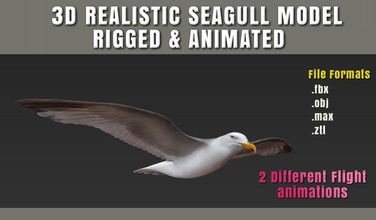 high detailed seagull 3d advertisement animal animated animation bird detail flight fly fully game model mustafavangol realistic rig vfx wing 3d print model - Mito3D
