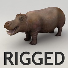 hippo lowpoly rigged model africa animal character circus game hippopotamus kvakling lower mammal poly rhinoceros rig teeth water zoo 3d print model - Mito3D