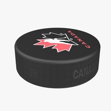 hockey puck 3 3d molier 3ds c4d cup equipment field game goal ice international max mb model olympic photoreal realistic skate sport stadium stick vray winter 3d print model - Mito3D
