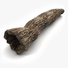 hollow trunk dead countryside stump outdoor outside architecture bark branch debris detail elements forest garden jungle junk litarvan log model natural nature old parking plant props realistic rotten tree vray wood 3d print model - Mito3D