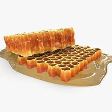 honeycomb 3d 3dror animal bal bee beehive breed food forest garden hive honey insects model nest queen scanline skep tree vray wasp wild 3d print model - Mito3D