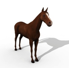 horse 3d animal character cowboy equine fishzombie mammal maya model obj realistic stallion steed thoroughbred tiff west wild 3d print model - Mito3D