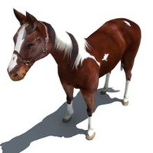 o cavalo adulto animais besta bronco brown cowboy equinos equus farm castrado genérico giimann mamífero mare modelo realista piloto a rurais stud 3d print model - Mito3D