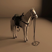 horse animal bronco character creatures digital donkey equine female foal gelding griffix knight male man mare model nag plug pony props quadruped saddle stallion steed studios 3d print model - Mito3D