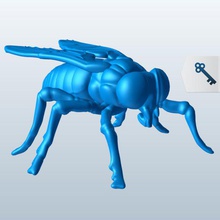 horse fly v1 insects printable lowpoly 3d print model - Mito3D