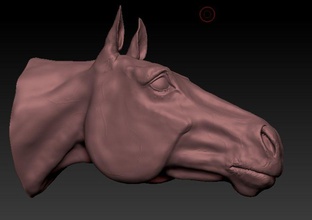 horse head 3d a3 adri anatomy animal character equine model prints prototype trophy 3d print model - Mito3D