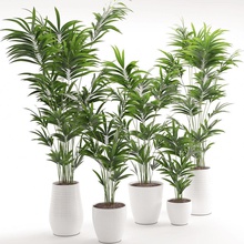 zimmerpflanze 18 Blume schöne hovea innen Modell orii ornamental pflanze pot klein Baum 3d print model - Mito3D