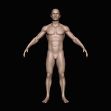 human body anatomy character guys male man maxpeck3d model muscle realistic sport 3d print model - Mito3D
