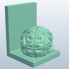 o cérebro humano aparador v1 humanos do agregado familiar itens printable lowpoly domésticos 3d print model - Mito3D