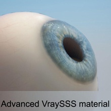 insan gözü anatomi yanıp sönen vücut karakter göz Gözbebekleri yüz ıris libertyone adam tıbbi model organ gözbebeği sss V-ray'in kadın 3d print model - Mito3D
