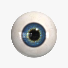 human eye 3d anatomy blue body character eyeballs female girl green head lid male man medical model organs people person realistic texture vision windtrees 3d print model - Mito3D