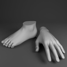 umano, mano, piede 3d 3ds l'anatomia frullatore corpo carattere alle estremità piedi ragazzi mano umana ior gli arti maschio uomo max modello obj studios 3d print model - Mito3D