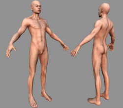 maschio umano bas nudo anatomico l'anatomia base corpo carattere corps draad generico ragazzi homme humain umana uomo modello 3d print model - Mito3D