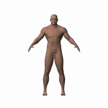 human male character 3d bald body boy caucasian corpse guys humanoid light man map mark19xx model muscle nude penis people person rig skin sport strong uv PENIS 3d print model - Mito3D