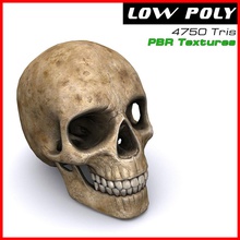 human skull 3dfreelancerus anatomy body bone character corps dead death face game grave head jaws lower lowpoly medical model old pbr poly ready real skeleton texture time tomb 3d print model - Mito3D