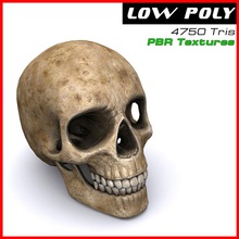 crânio humano 3dfreelancerus anatomia o corpo osso personagem corps mortos de morte rosto jogo sepultura a cabeça humanos jaws inferior lowpoly médica modelo idade pbr poli pronta real esqueleto textura em tempo túmulo 3d print model - Mito3D