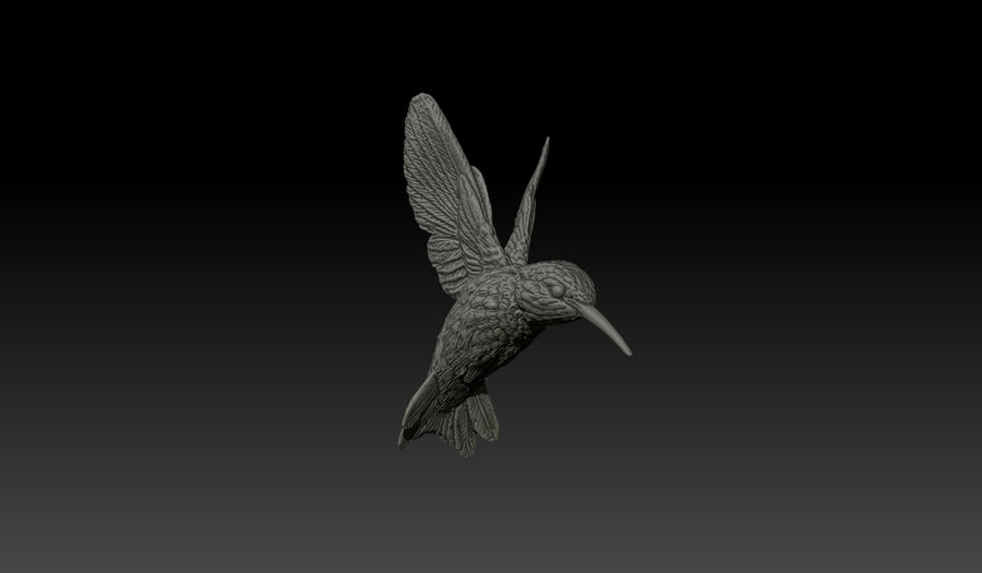 humming bird trochilidae animale bella esotici veloce fiore hum klipschforte modello nettare piccolo ala 3D print model - Mito3D