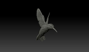 Kolibris trochilidae Tier schön Vogel exotischen schnell Blume hum klipschforte Modell Nektar winzig Flügel 3d print model - Mito3D
