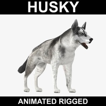 husky animated rigged 3dguild anatomy animal canine cartoon creatures dog model prints puppy ready realistic rig vray wolf zoo 3d print model - Mito3D